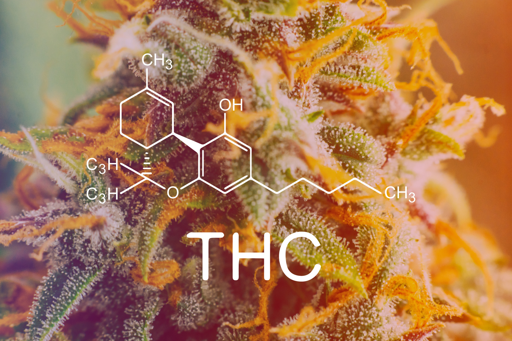 What are the Best THC-V Products